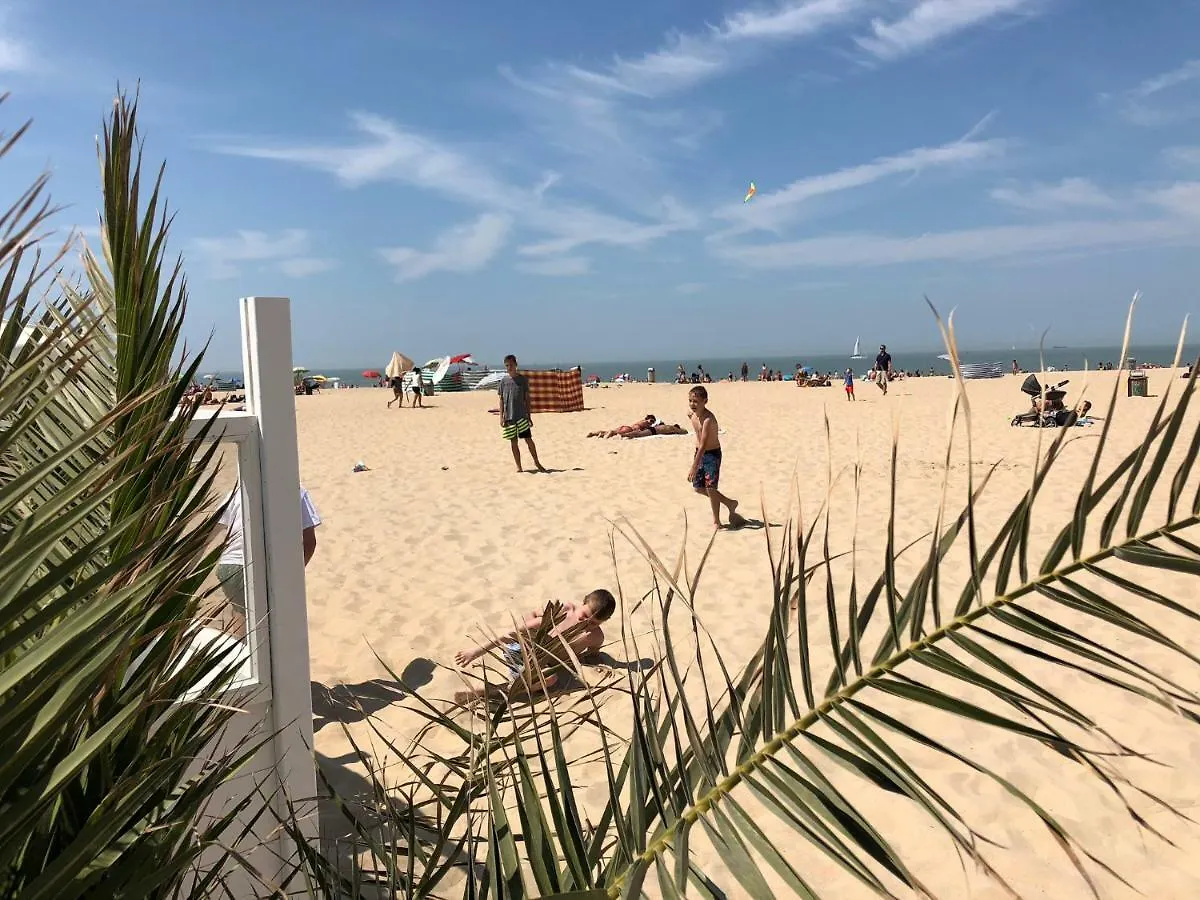 Aan Het Strand En Dijk - Topgebouw Ostenda